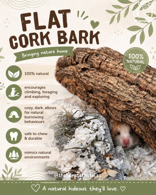 Flat Cork Bark — Natural Hideout & Climbing Ledge