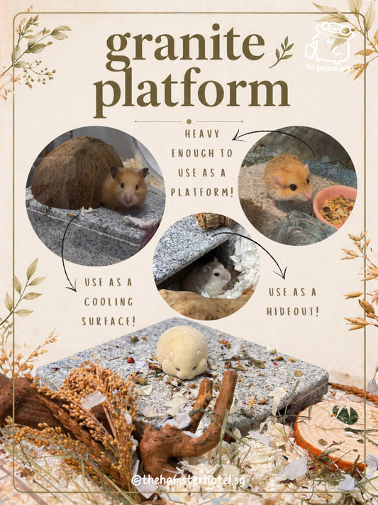 Granite Platform — Natural Cooling Stone & Hideout Roof