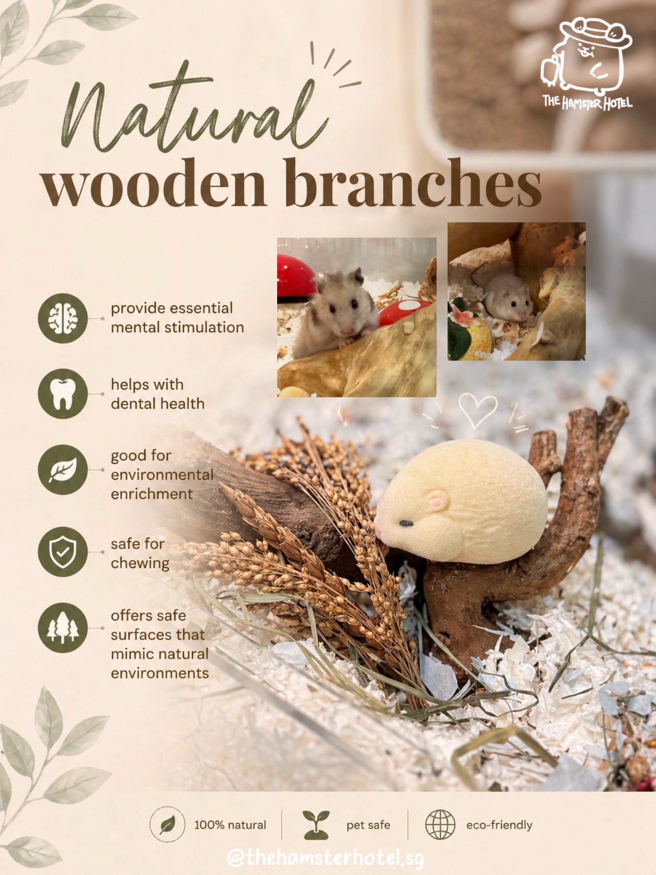 Natural Wooden Branches — Chew-Safe Climbing Enrichment