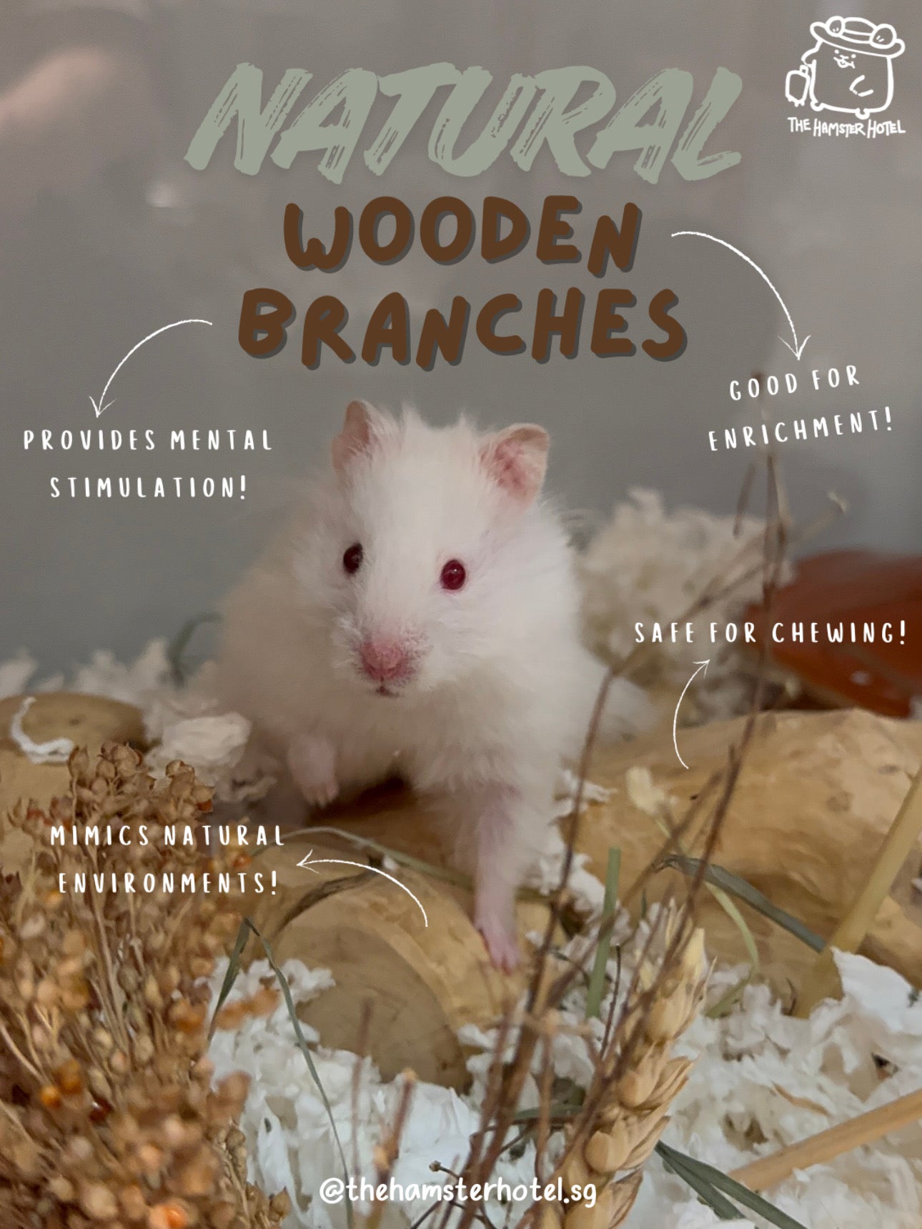 Natural Wooden Branches — Chew-Safe Climbing Enrichment