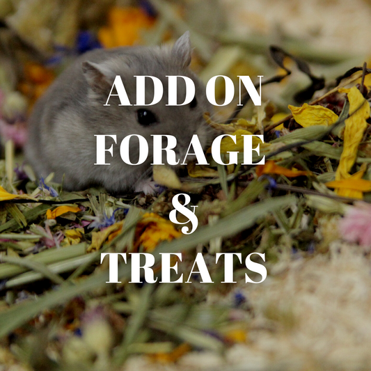 ADD ON - Forage & treats (per night)