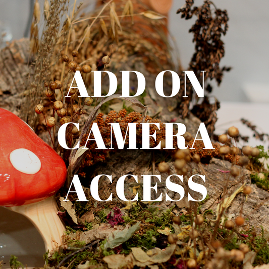 ADD ON - Camera access (per night)