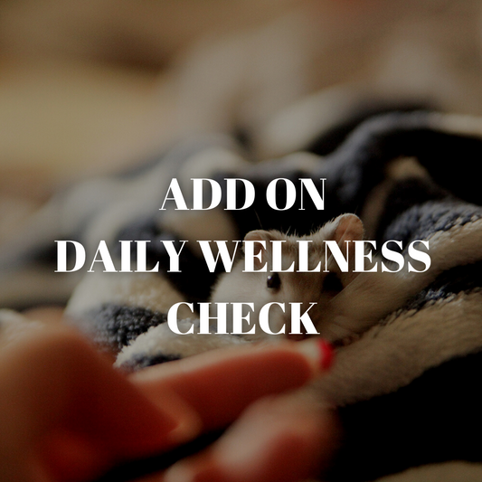ADD ON - Wellness check (per night)