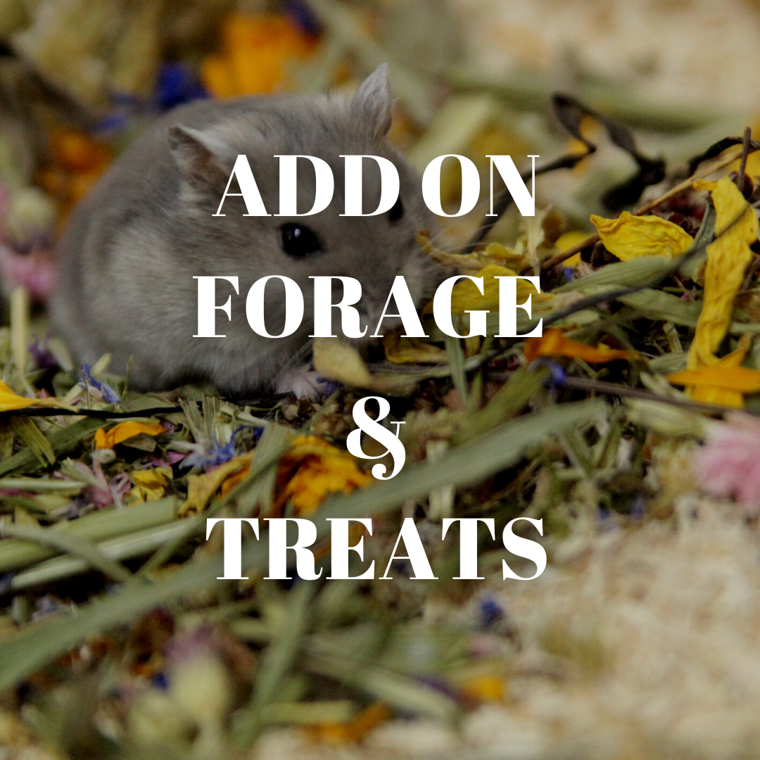 Hamster Hotel Singapore Add On Forage And Treats