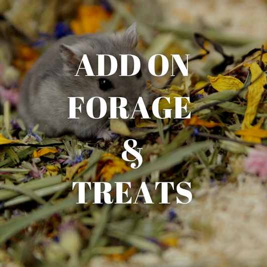 Hamster Hotel Singapore Add On Forage And Treats